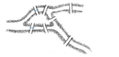 SOBRES, PUENTES, PÁJAROS Y PECES