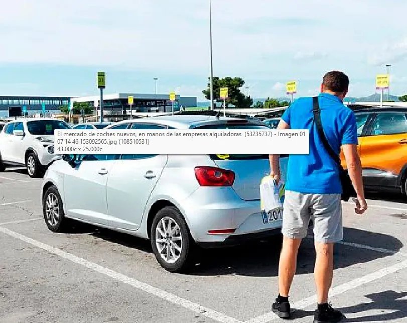 La venta de coches nuevos, en manos de las alquiladoras