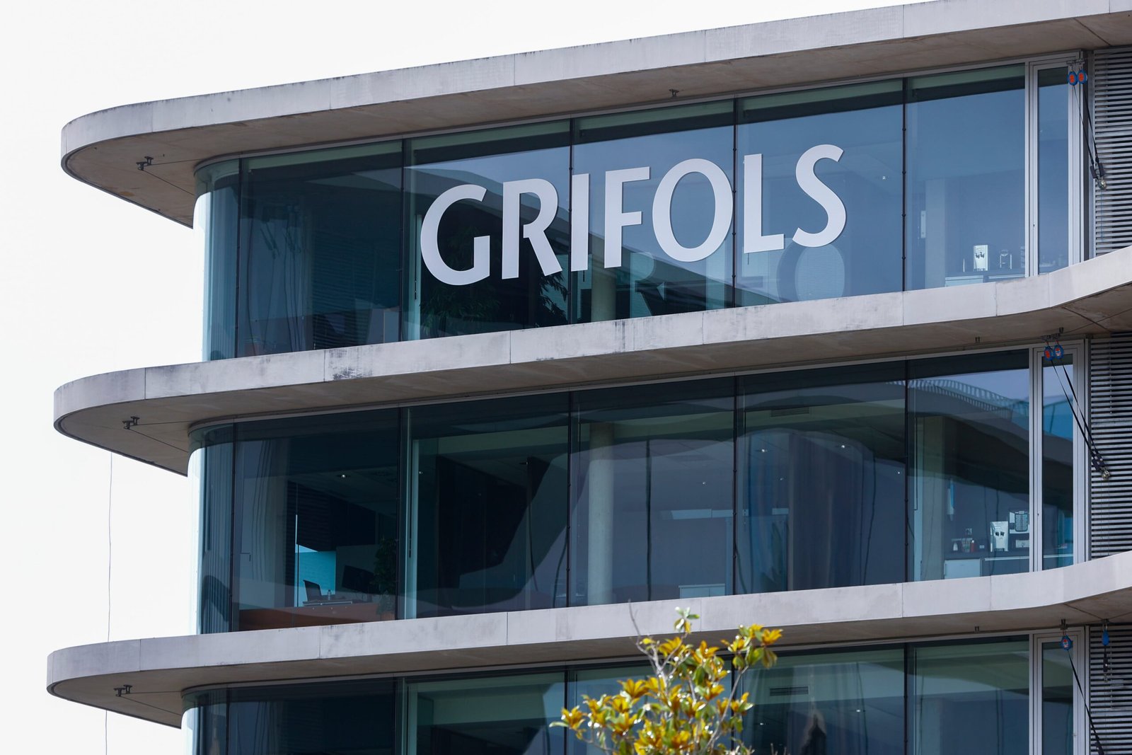 Grifols permite que Brookfield acceda a sus libros y ficha a Morgan Stanley y Goldman Sachs para asesorar la eventual opa | Economía nacional e internacional