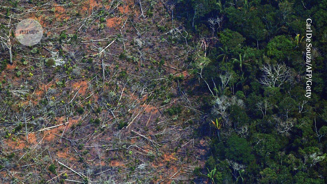 The surprising driver of Amazon deforestation