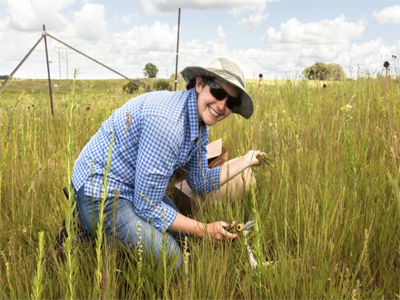 how endangered-species researchers find hope in the dark
