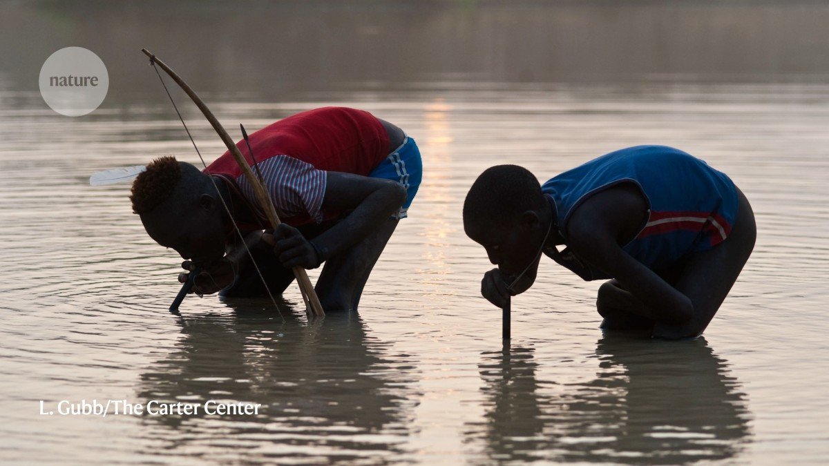 Even with no drug or vaccine, eradication of Guinea worm is in sight