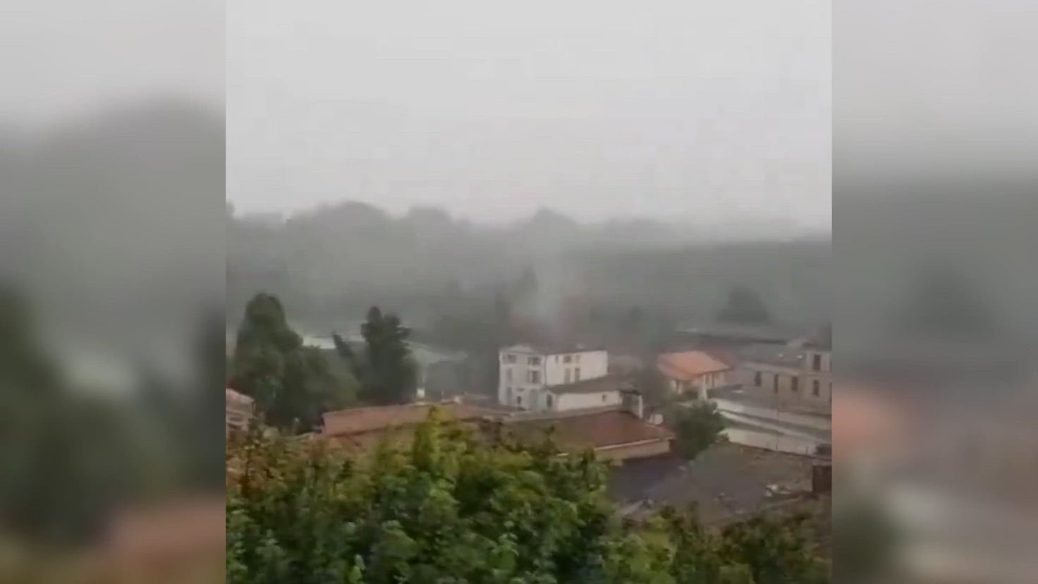 Un rayo destruye un árbol gigante de 33 metros en Francia