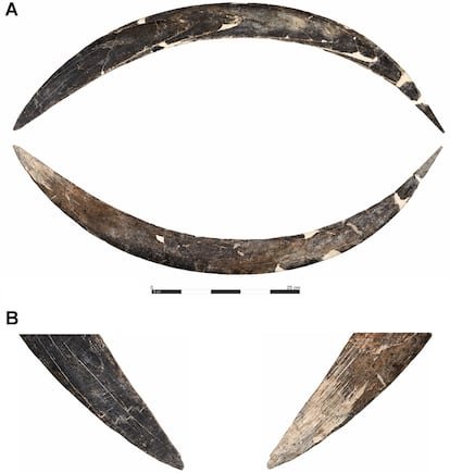 El bumerán hecho de colmillo de mamut de la cueva de Obłazowa.