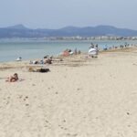 Una turista lanza una queja contra la ‘basura’ de la playa en Mallorca y resulta que es una especie protegida: “Ven a Mallorca, decían...”