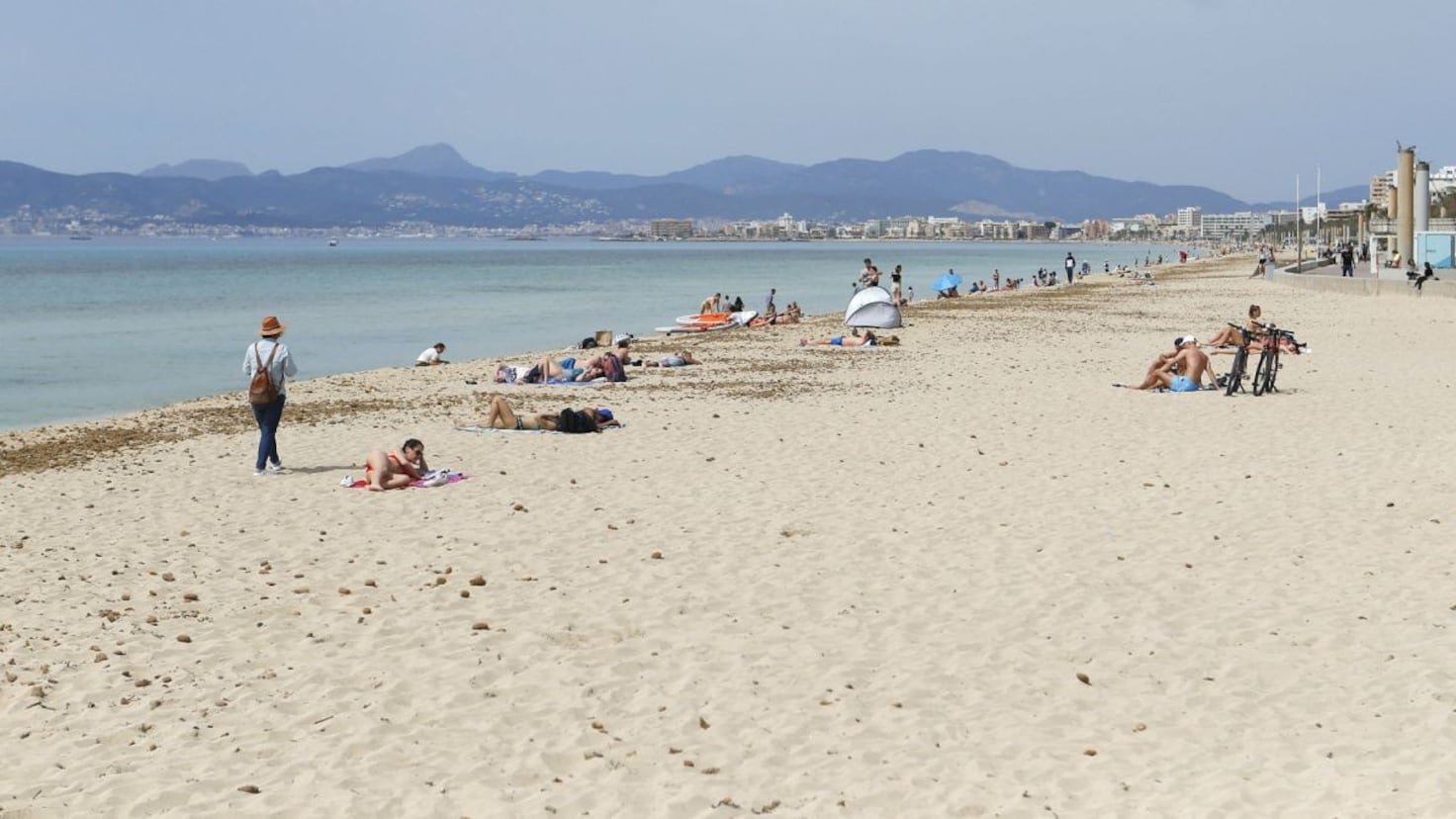 Una turista lanza una queja contra la ‘basura’ de la playa en Mallorca y resulta que es una especie protegida: “Ven a Mallorca, decían...”