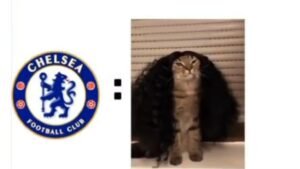 La final del Mundial de clubes, la de Wimbledon, los mejores memes del fin de semana