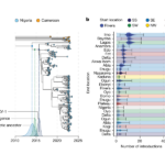 Viral genomes track the transmission of mpox in humans before 2017 outbreak