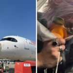 Pánico en un vuelo Madrid París: un ave chocó contra el avión y la escena es apocalíptica