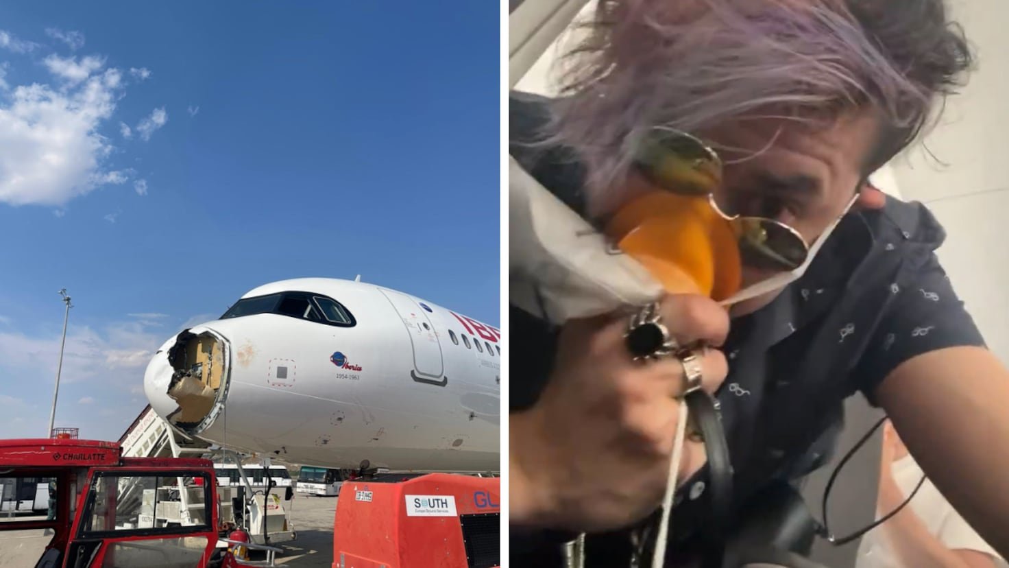 Pánico en un vuelo Madrid París: un ave chocó contra el avión y la escena es apocalíptica